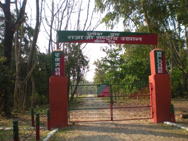 Tickets and Entries to Rajaji National Park